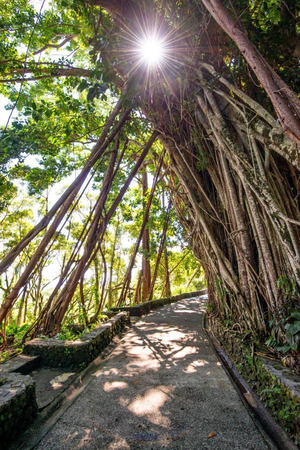 Palau Carolines Resort Koror Bagian luar foto