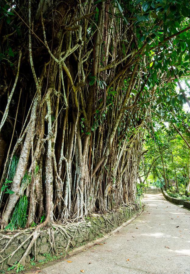 Palau Carolines Resort Koror Bagian luar foto